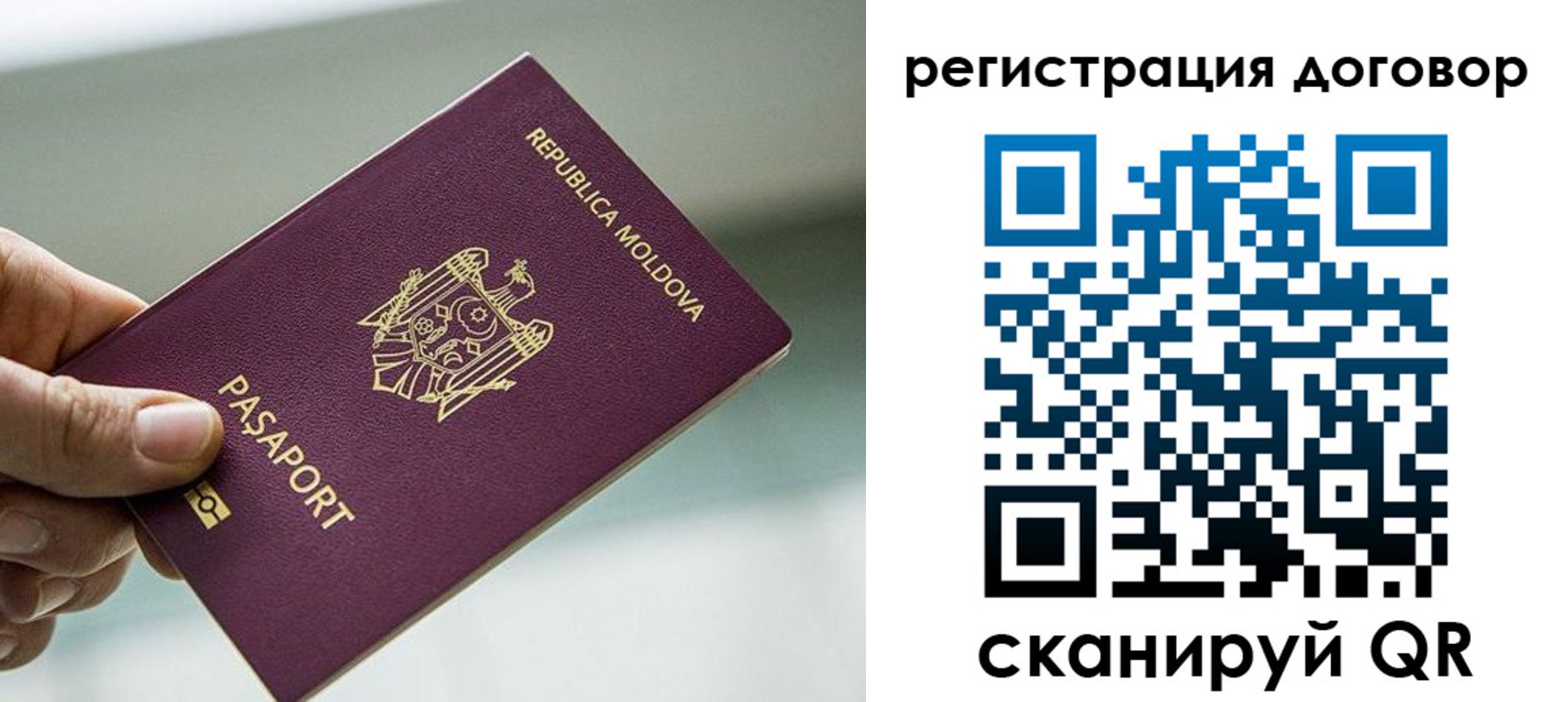 прописка в квартире в Бабаево